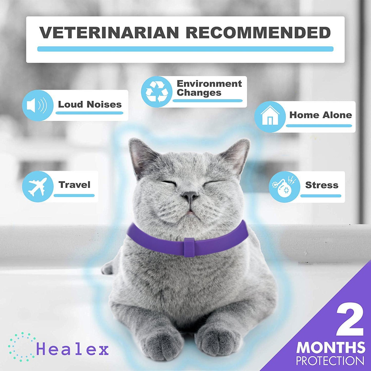 Pet Calm Collar Cat Comfort Collar Relieve Anxiety Purrfect Pawz