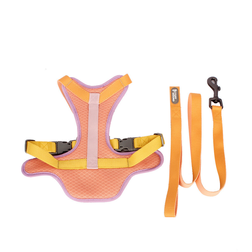 Colourful Harness & Leash Set Purrfect Pawz