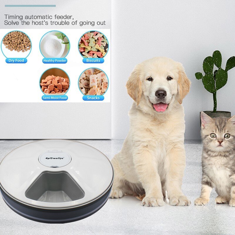 Dogs Timing Six-grid Feeder Cat Quantitative Music Automatic Feeder Purrfect Pawz