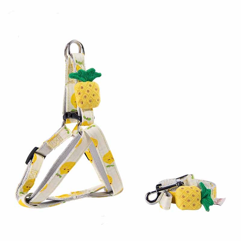 Fruit Printing Outing Dogs Fruit Series Dogs Collars Leash Purrfect Pawz