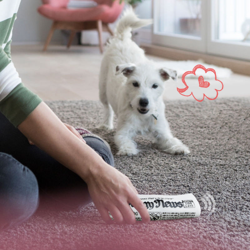 Squeaky Pet Dog Toy Newspaper Chew Training Toys Purrfect Pawz