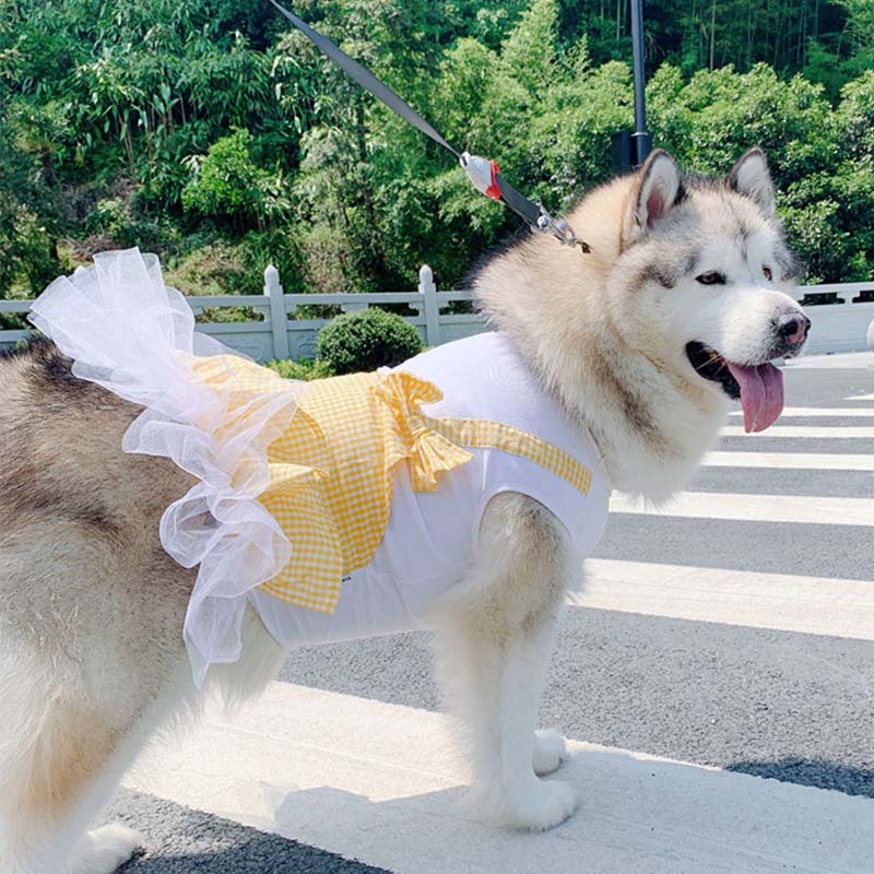 Dog Clothes Princess Dog Costume Labrador Golden Retriever Big Dog Clothes Purrfect Pawz