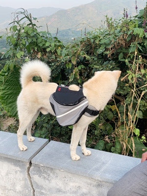 Dogs go out from backpack Purrfect Pawz