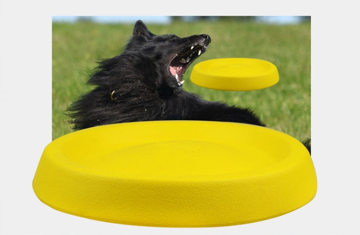 Pet Dogs Throwing Plastic Toys Purrfect Pawz