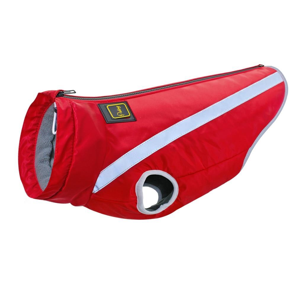 French Dog Cotton Clothes Teddy Fall Winter Clothes Purrfect Pawz