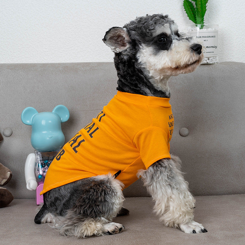 Pet Clothes Trendy Brand Dog Clothes Summer Purrfect Pawz