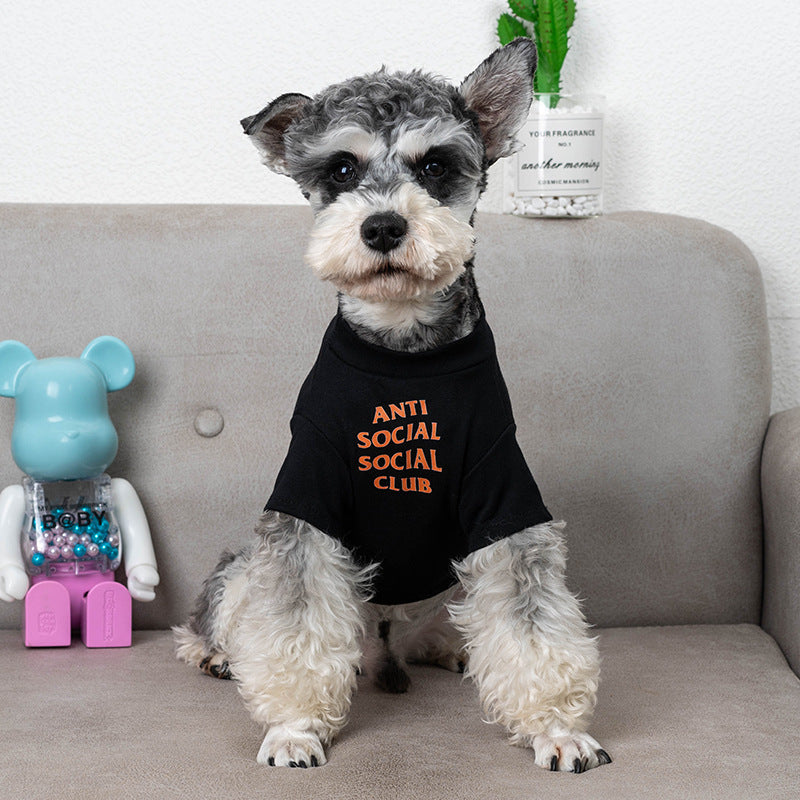 Pet Clothes Trendy Brand Dog Clothes Summer Purrfect Pawz