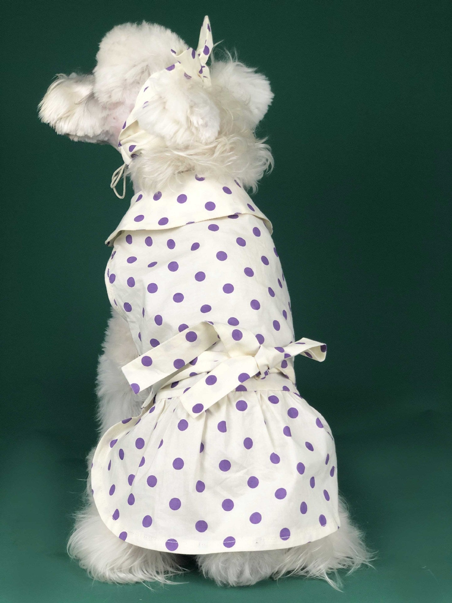 Dog Clothes Summer Thin Small Dog Cute Princess Dress Teddy Schnauzer Corgi Cat Pet Outfit Purrfect Pawz