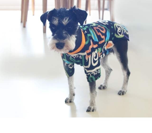 Pet Sweater Spring And Summer Household Dog Clothes Purrfect Pawz