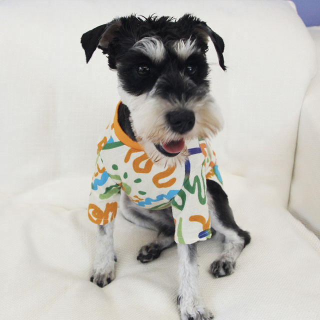 Pet Sweater Spring And Summer Household Dog Clothes Purrfect Pawz