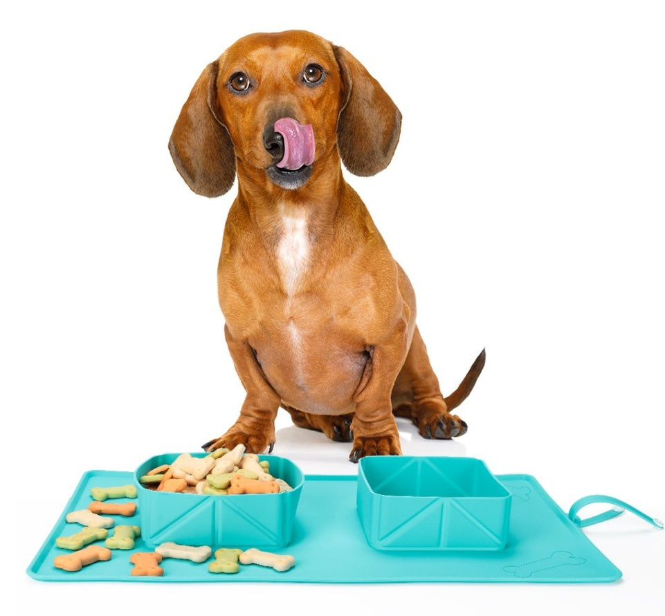 Dogs Puppy Bowls Silicone Bowls Purrfect Pawz