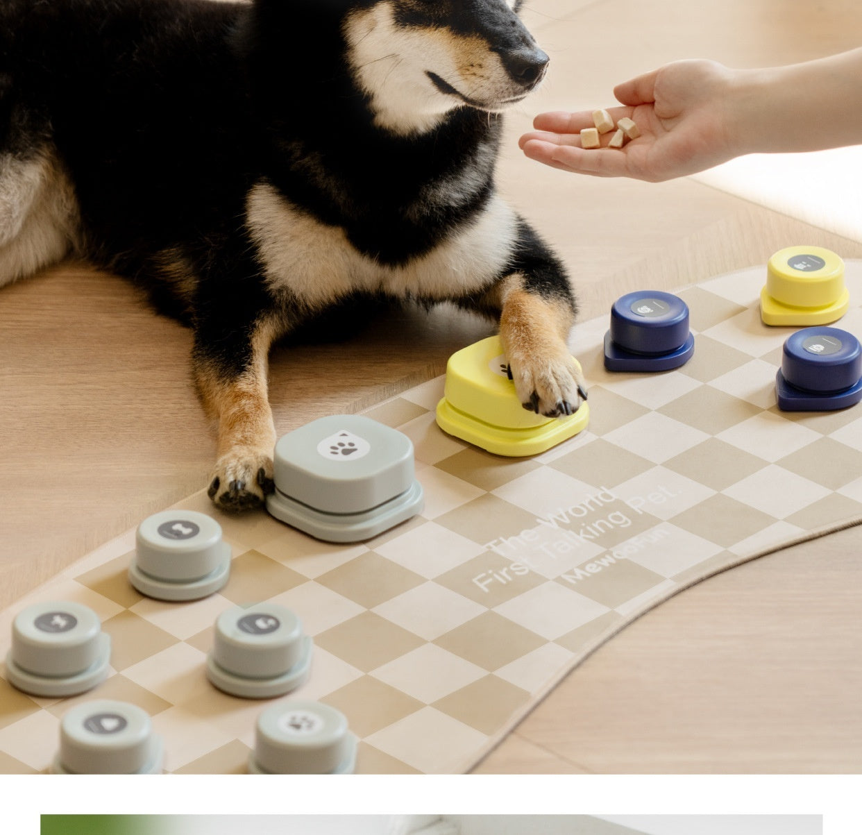 Pet Small Size Ac Cat Voice Stitching Miniature Recording Dog Training Talking Button Purrfect Pawz