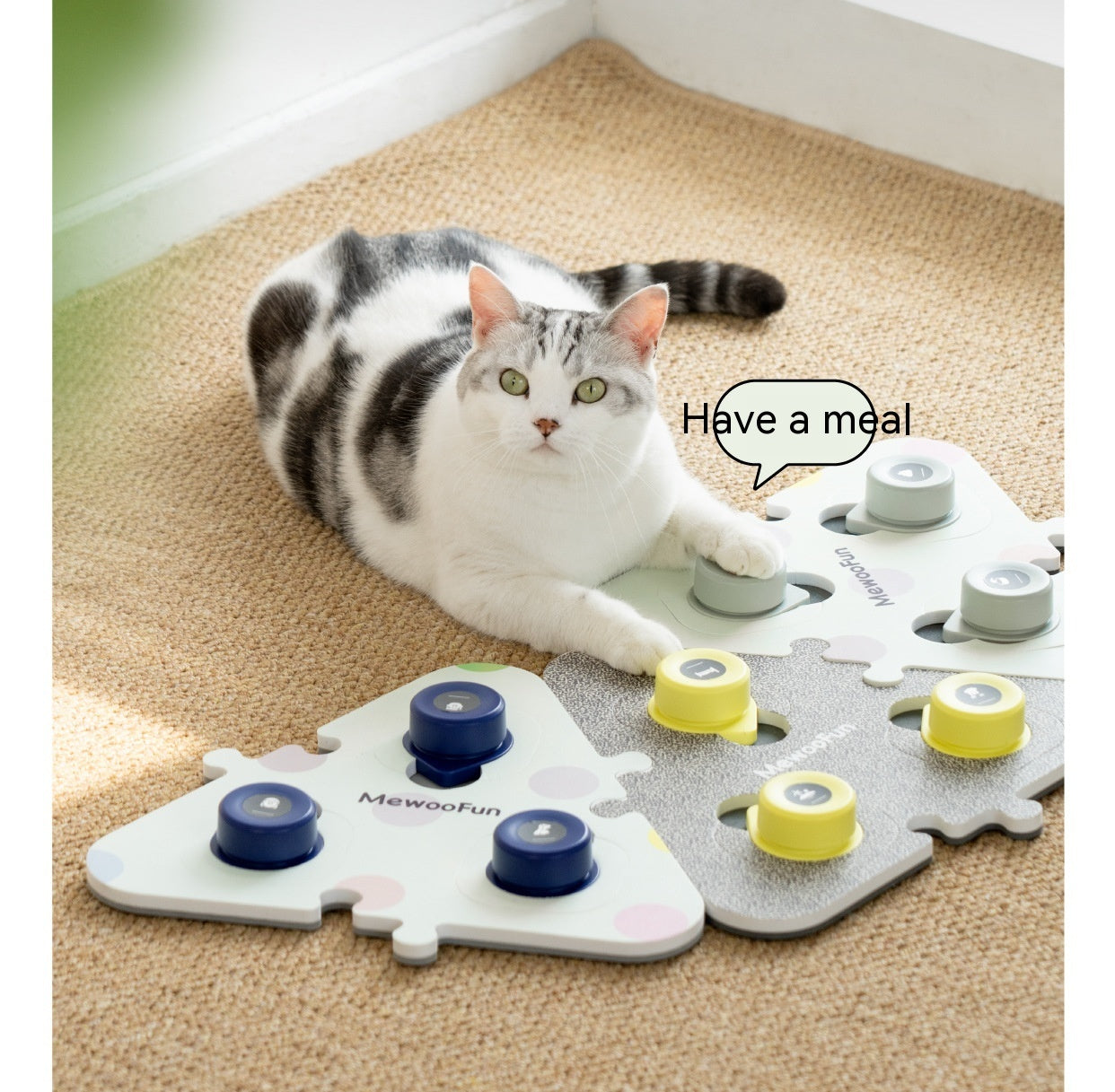 Pet Small Size Ac Cat Voice Stitching Miniature Recording Dog Training Talking Button Purrfect Pawz