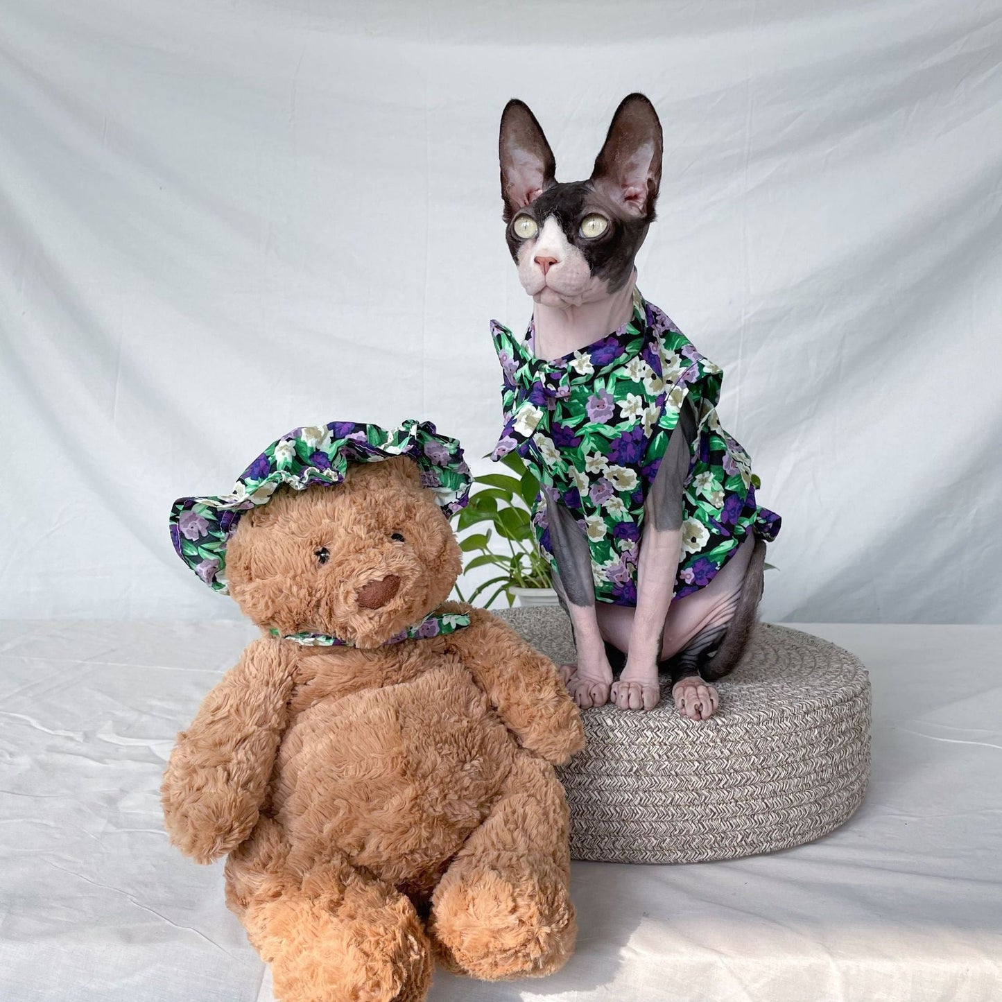 Cat Clothes Summer Thin Floral Dress Sphinx Hairless Purrfect Pawz