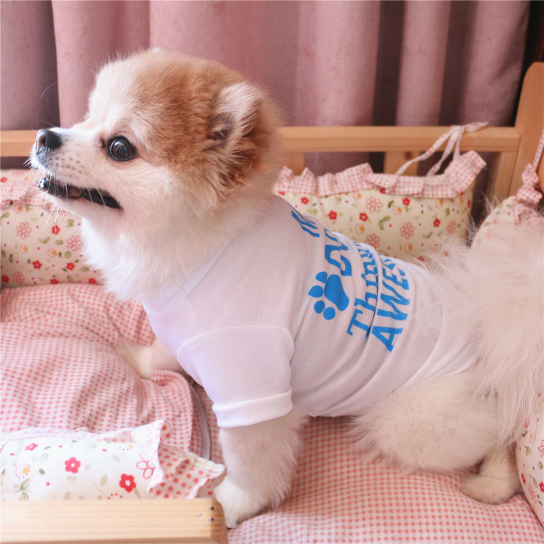 Summer pet clothes Purrfect Pawz