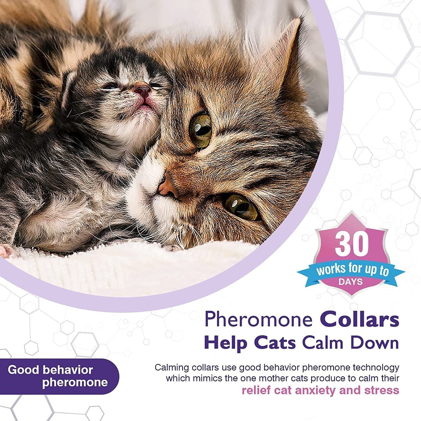 Pet Calm Collar Cat Comfort Collar Relieve Anxiety Purrfect Pawz