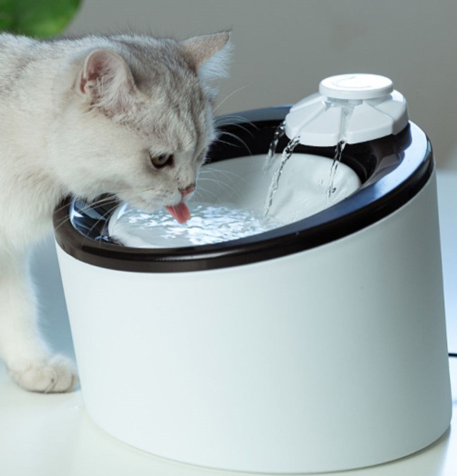Automatic Drinking Machine For Cats And Dogs Purrfect Pawz