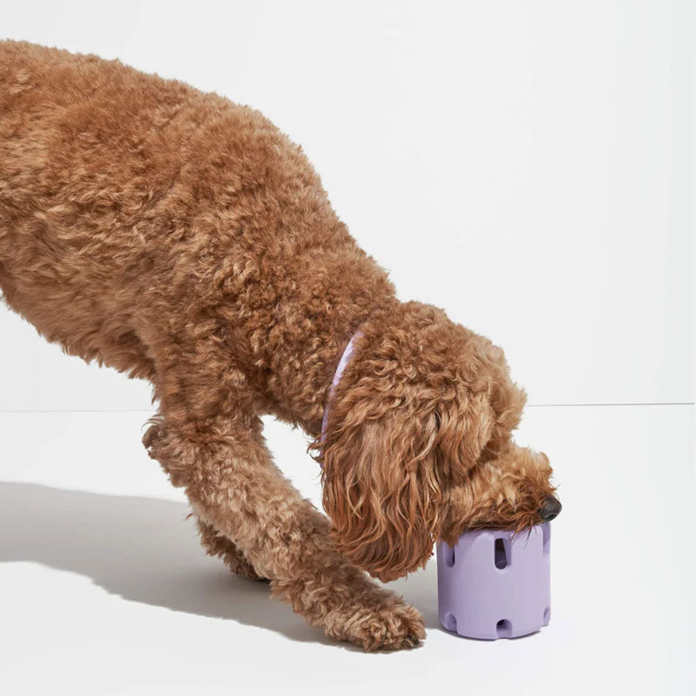 Dog Tennis Cup Natural Rubber Bite-resistant Toys Purrfect Pawz
