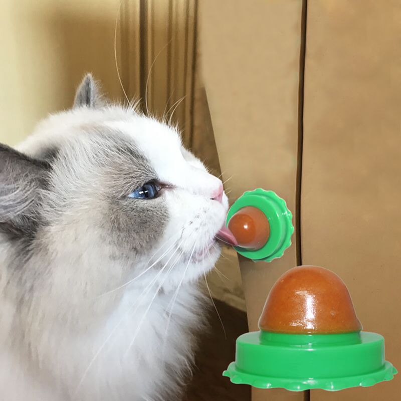 Pet Cat Sugar Energy Ball Lick Toys Catnip Purrfect Pawz