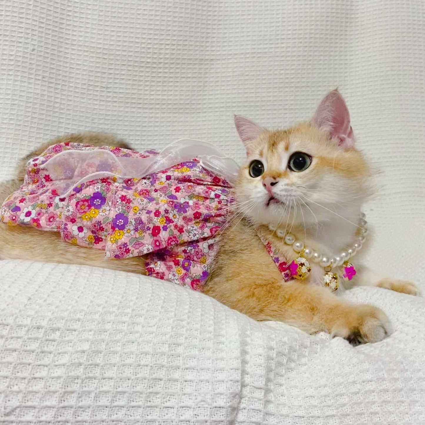 Spring And Summer Dog Clothes Cat Clothing Pet Cotton Floral Slip Dress Mesh Skirt Dress Purrfect Pawz