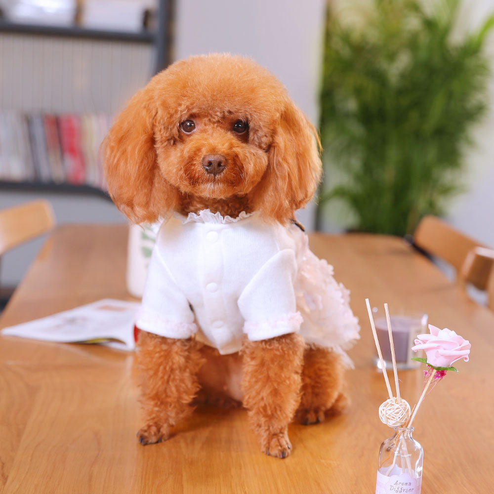 Dog clothes skirt Purrfect Pawz