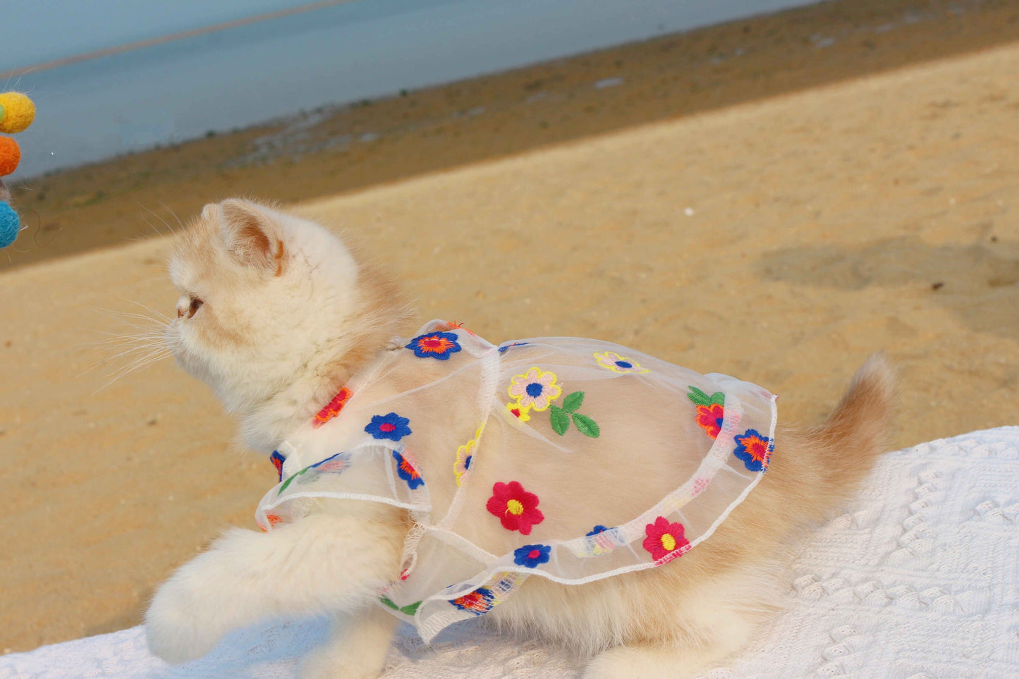 Mesh Flower Embroidery Dress Cat Clothes Purrfect Pawz