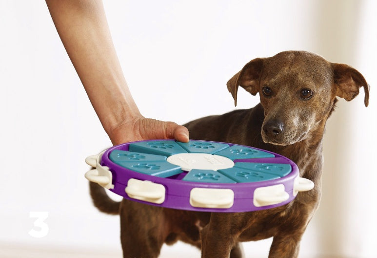 Dog educational toys Purrfect Pawz