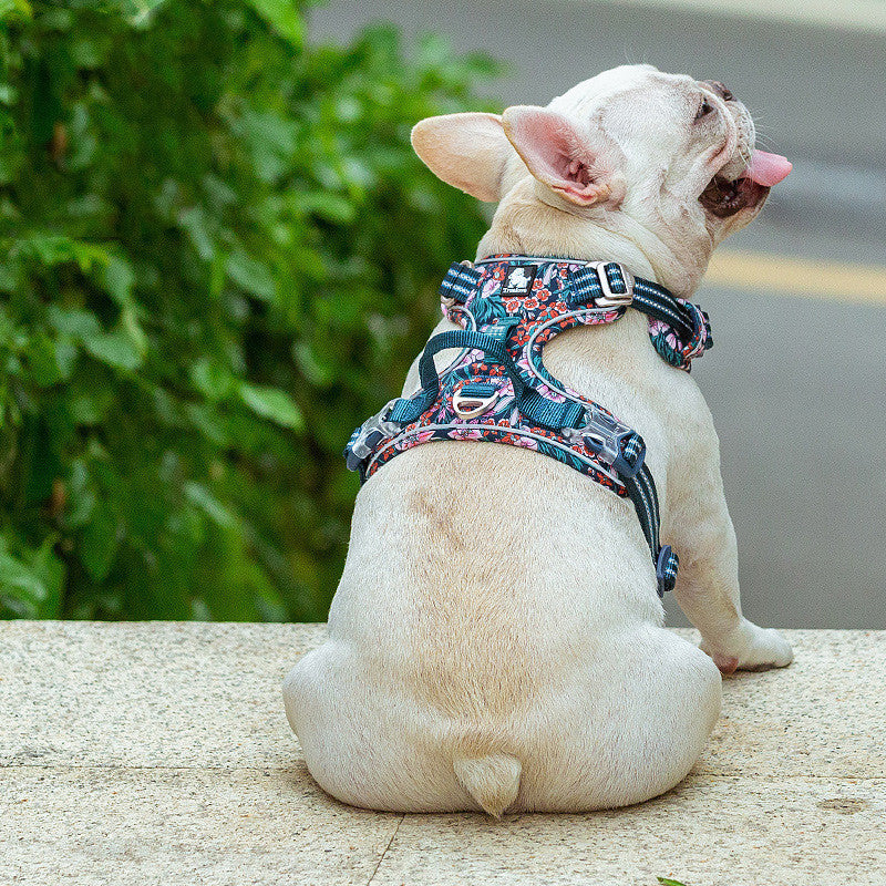 The New Dog Leash Vest Type Walking Chain Purrfect Pawz