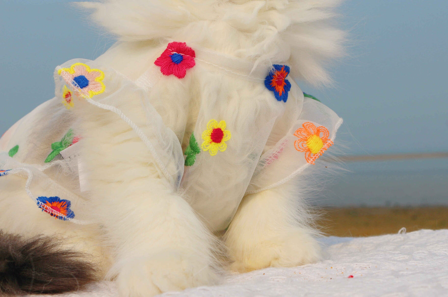 Mesh Flower Embroidery Dress Cat Clothes Purrfect Pawz