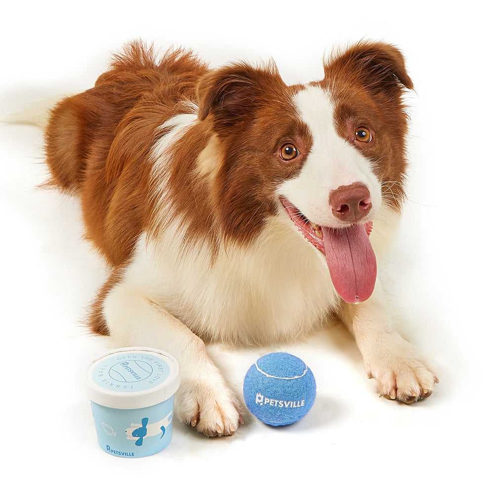 Outdoor Interactive Tennis Dog Toys Purrfect Pawz