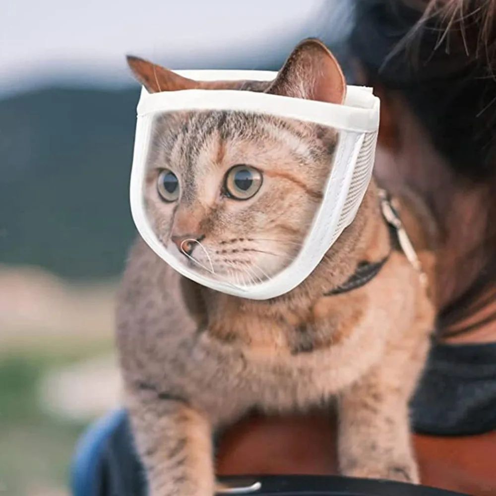 Anti Bite Puppy Kitten Muzzles Mask Pet Product Cat Muzzle Breathable Dogs Cats Bathing Grooming Tools Purrfect Pawz