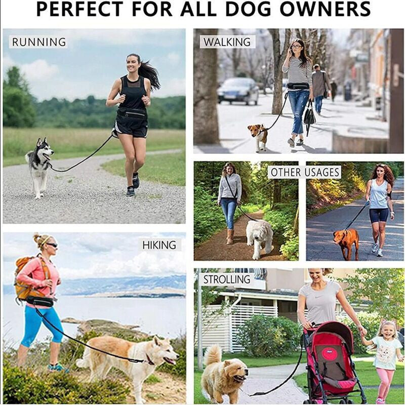 Pet Purse Leash For Dog Walking Purrfect Pawz