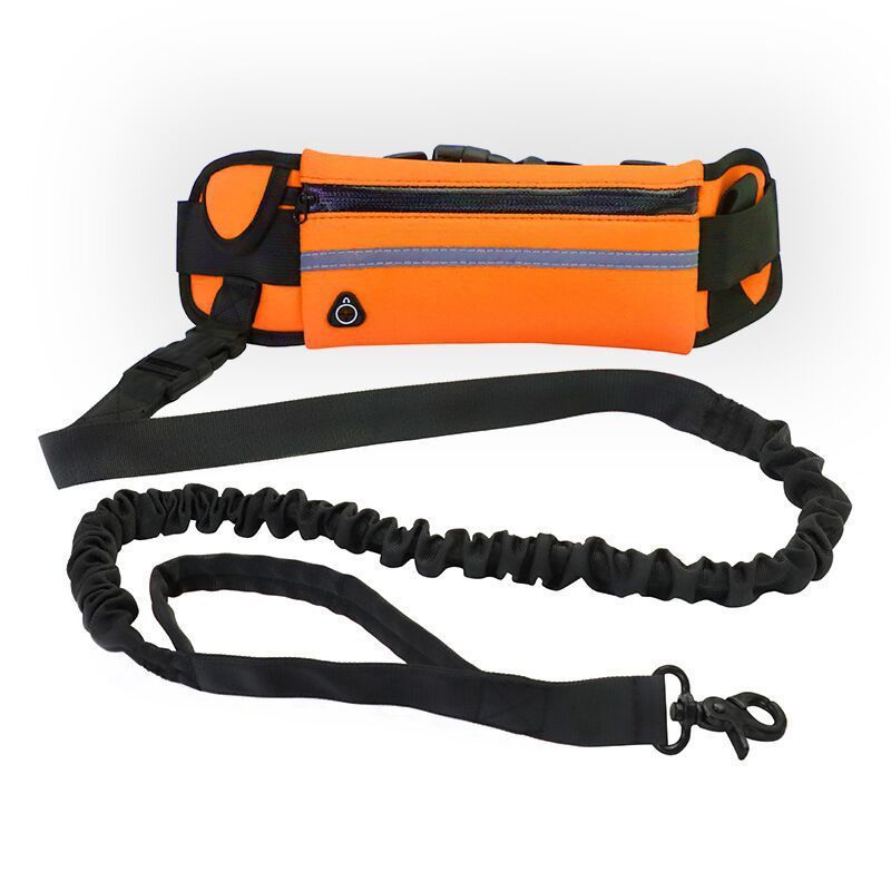 Pet Purse Leash For Dog Walking Purrfect Pawz