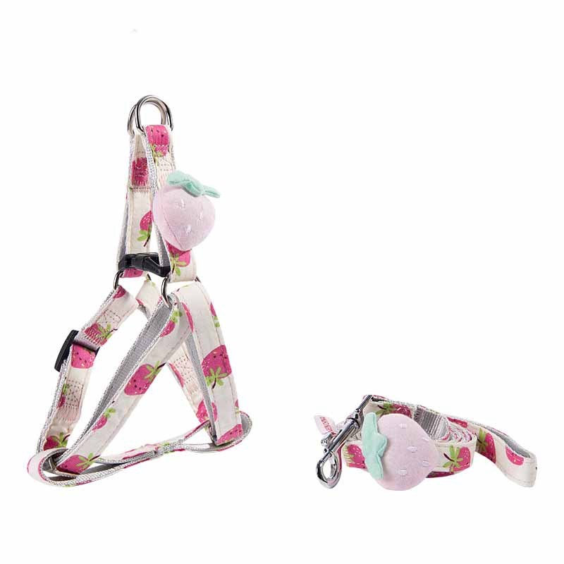 Fruit Printing Outing Dogs Fruit Series Dogs Collars Leash Purrfect Pawz