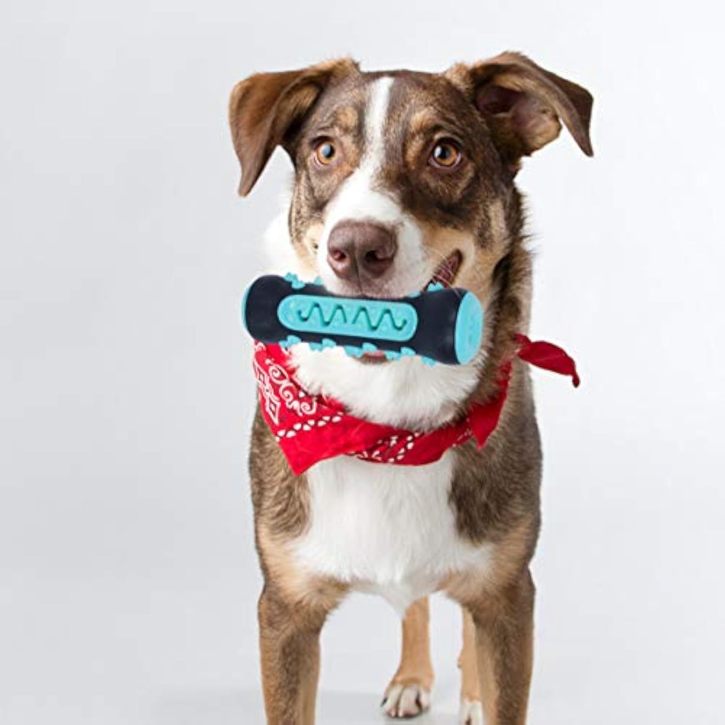 Dog Toothbrush Chew Toy Puppy Dog Teeth Cleaning Stick Natural Rubber Dental Teether Molar Toys For Dog Pets Purrfect Pawz