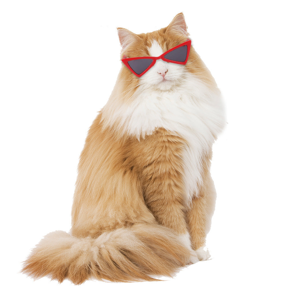 Funny Color Glasses Accessories For Dogs And Cats Purrfect Pawz