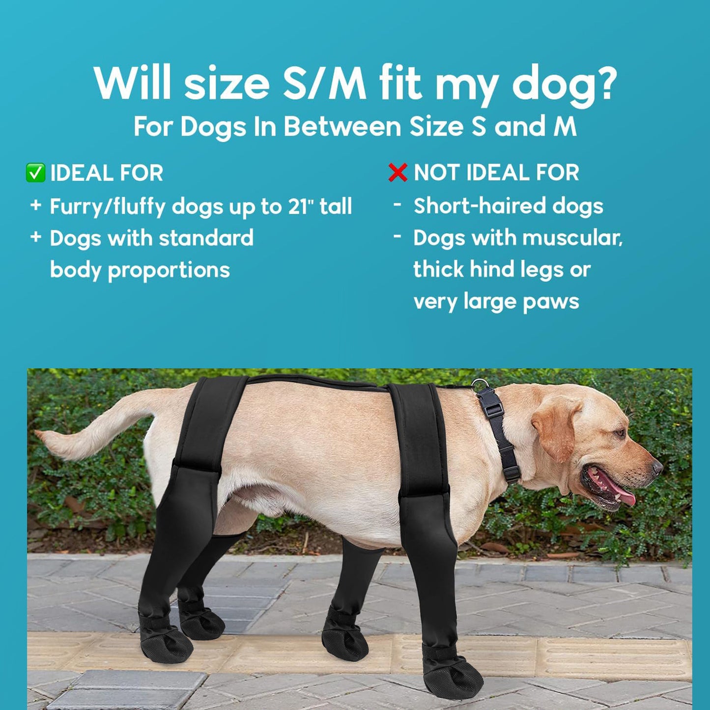 Pet Supplies Out Boots Anti-dirty Dog Shoes Purrfect Pawz