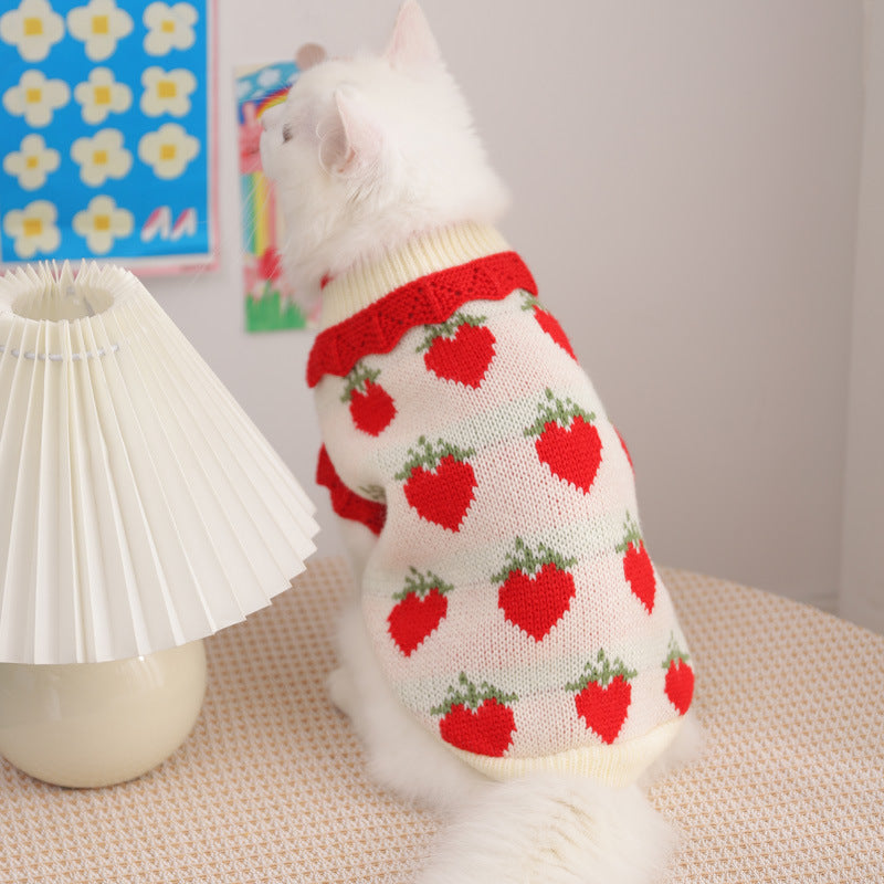 Cat Clothes For Fall Kittens To Prevent Shedding Purrfect Pawz