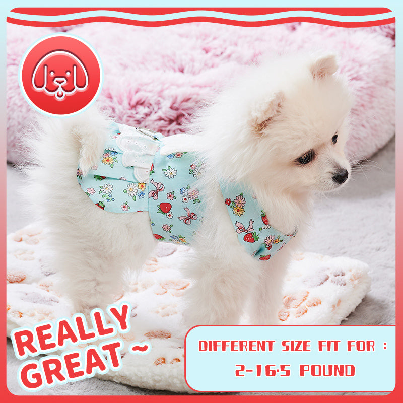 Dog Harness Dress With Leash Set Cute Puppy Dresses With Angel Wings Fashion Outfit Clothing Chihuahua Clothes Pet Harness Set Purrfect Pawz