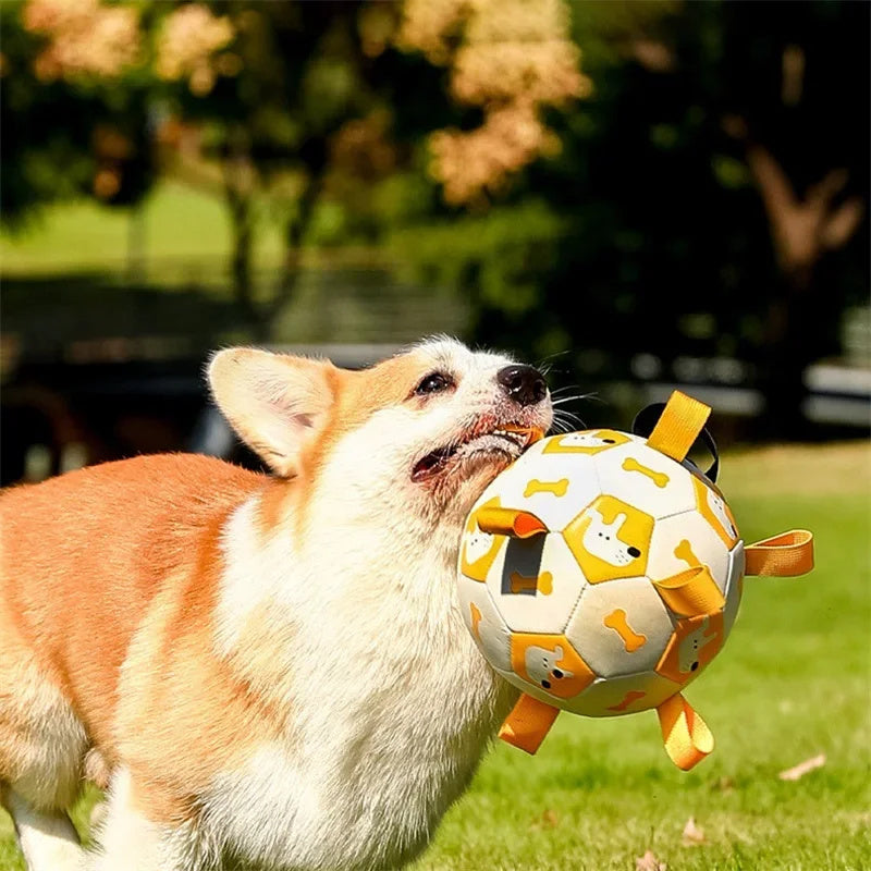 Dog Interactive Football Toys Children Soccer Dog Outdoor Training Balls Pet Sporty Bite Chew Teething Ball With Cute Printing Purrfect Pawz