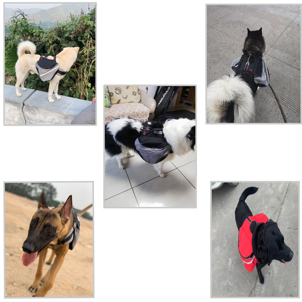 Dogs go out from backpack Purrfect Pawz
