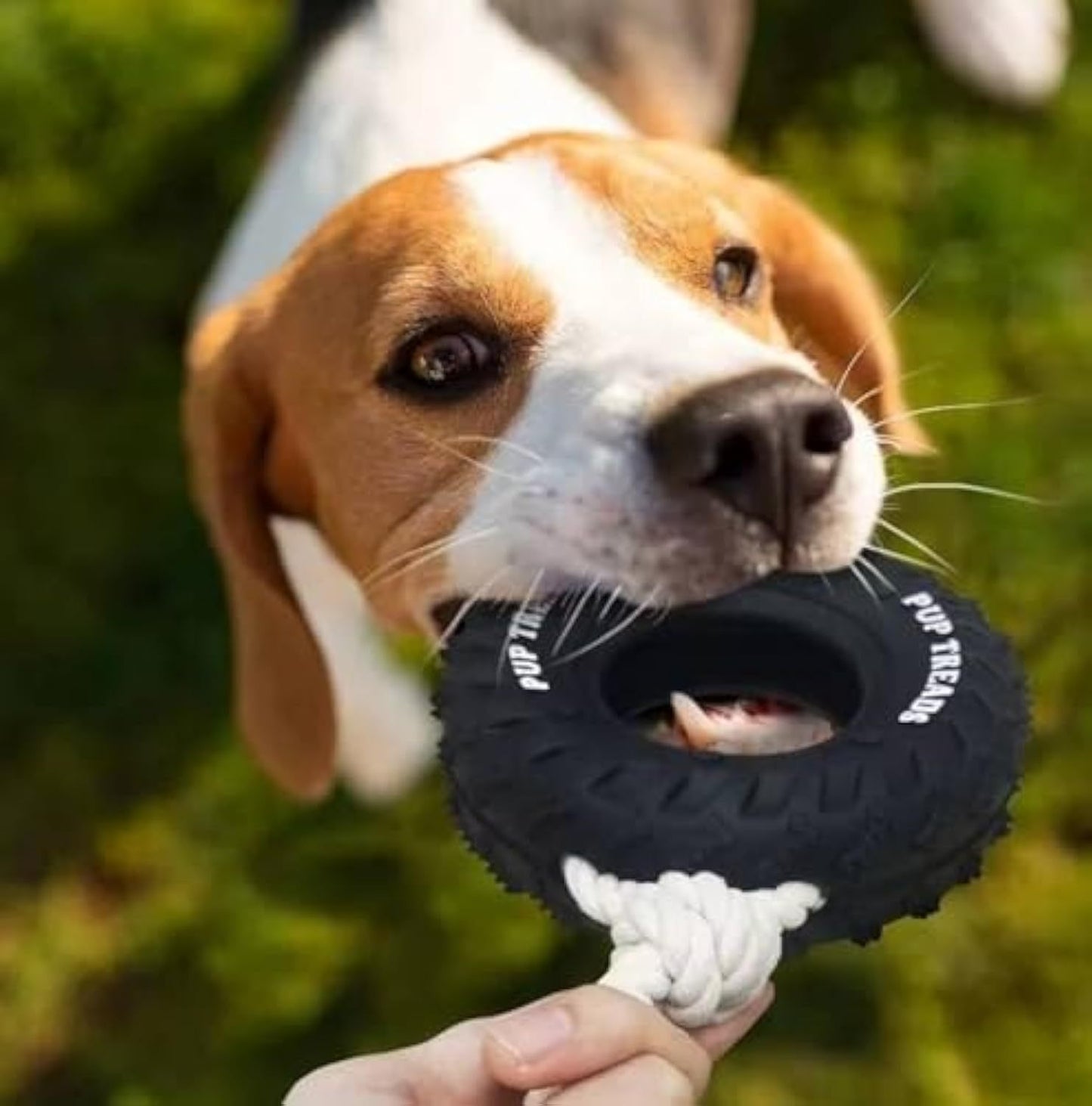 Durable Dog Toys For Aggressive Chewers Tough Interactive Dog Toys For Large Dogs Birthday Dog Chew Toy Teething Toys Treat Dispensing Dog Toy Purrfect Pawz