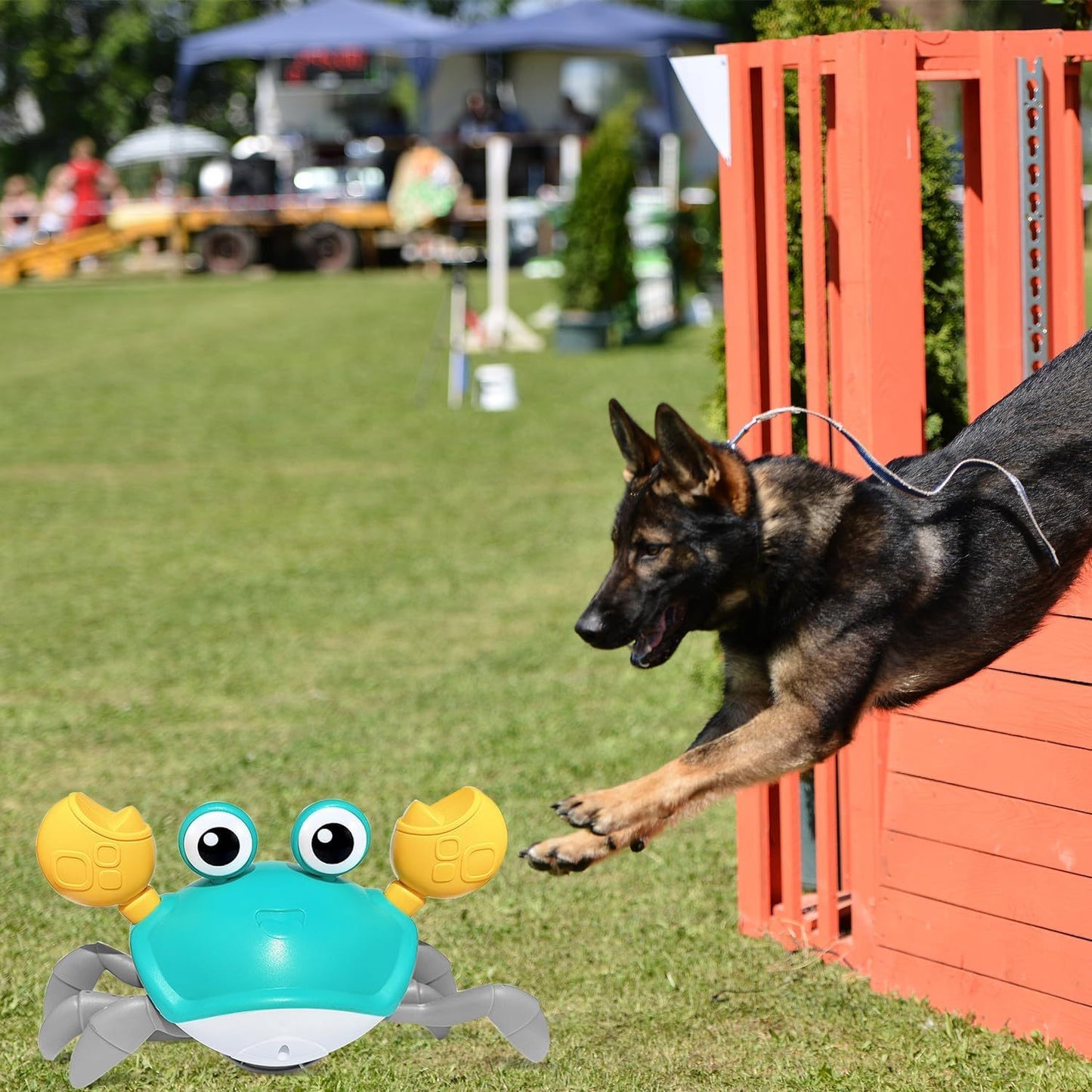 Crawling Crab Dog Toys Escaping Crab Dog Toy With Obstacle Avoidance Sensor Interactive Dog Toys With Music Sounds Lights For Dogs Cats Pets Christmas Toy Gifts For Puppy Small Medium Dogs Purrfect Pawz