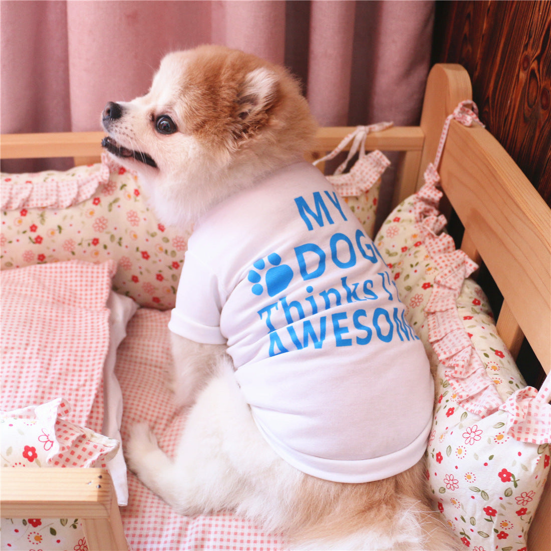 Summer pet clothes Purrfect Pawz