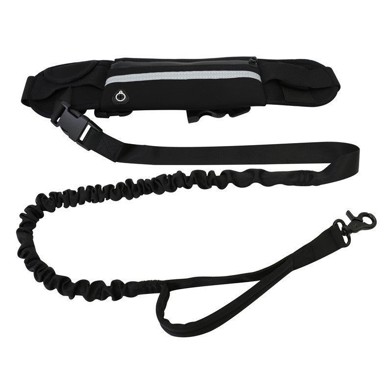 Pet Purse Leash For Dog Walking Purrfect Pawz