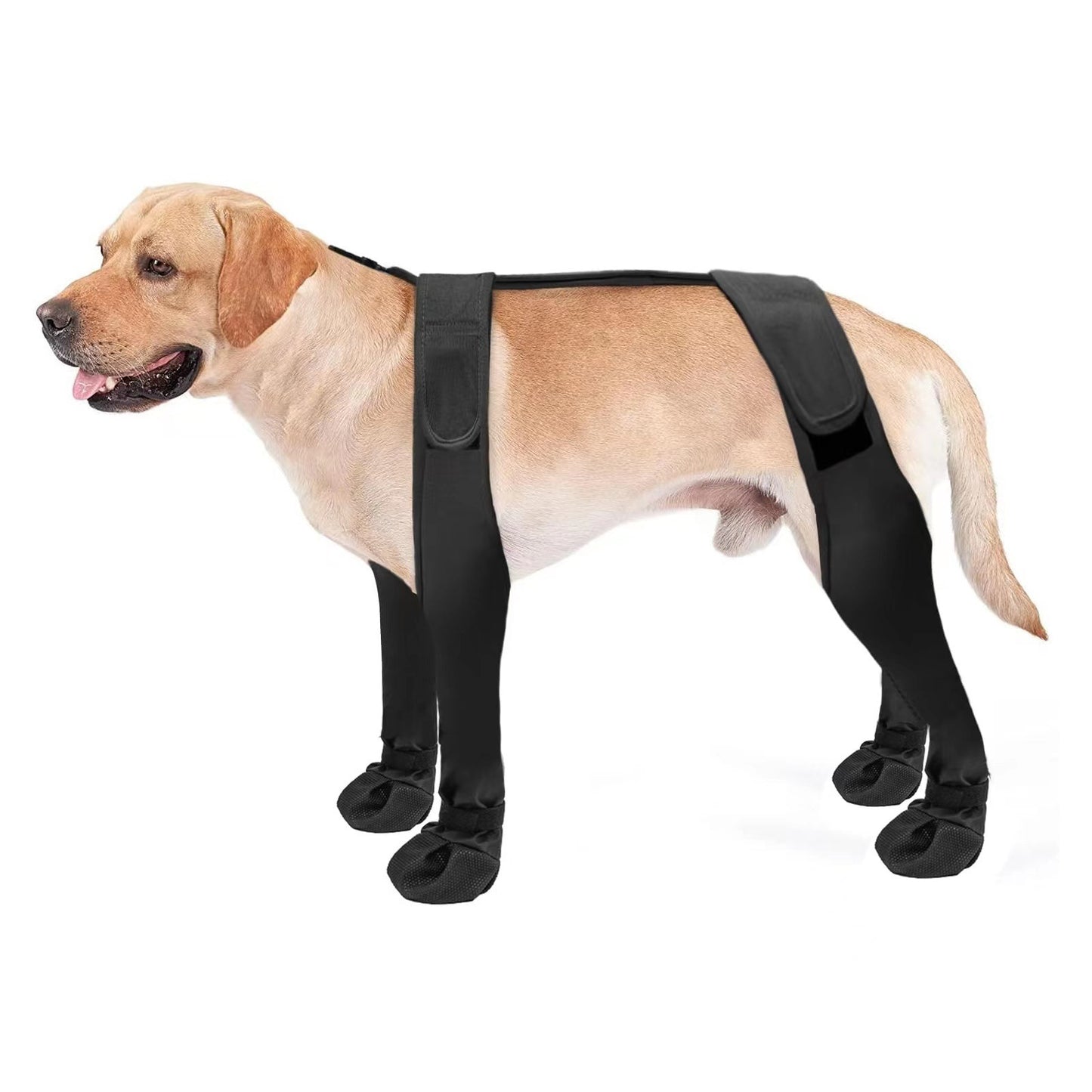 Pet Supplies Out Boots Anti-dirty Dog Shoes Purrfect Pawz