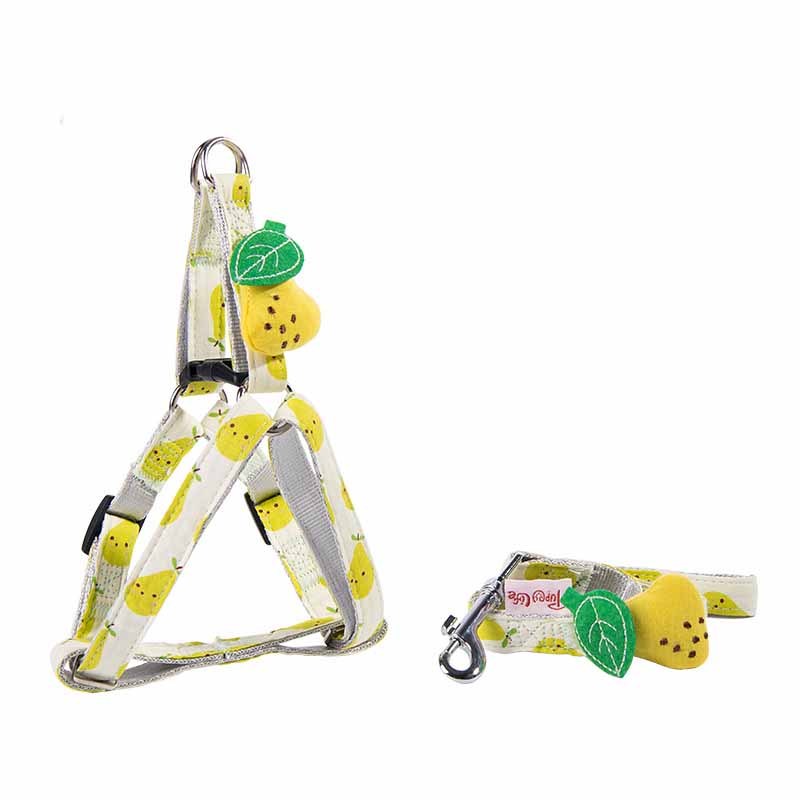 Fruit Printing Outing Dogs Fruit Series Dogs Collars Leash Purrfect Pawz