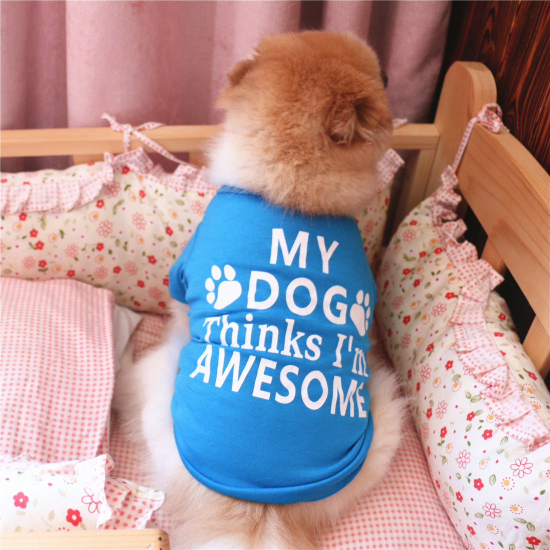 Summer pet clothes Purrfect Pawz