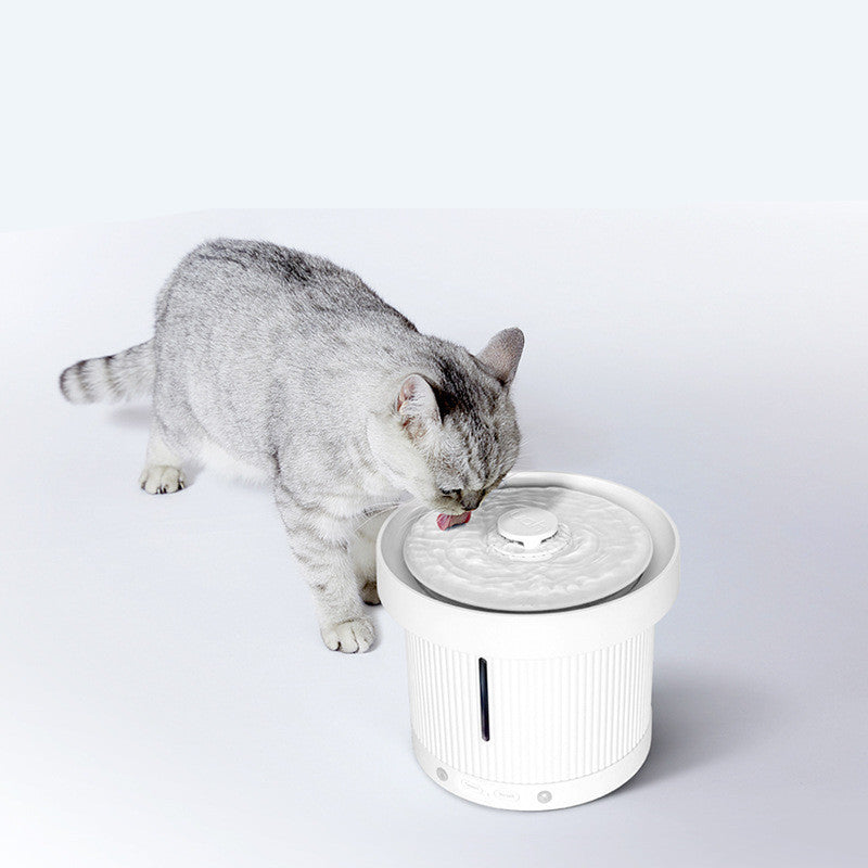 Electric Water Dispenser Pet Universal For Dogs And Cats Purrfect Pawz