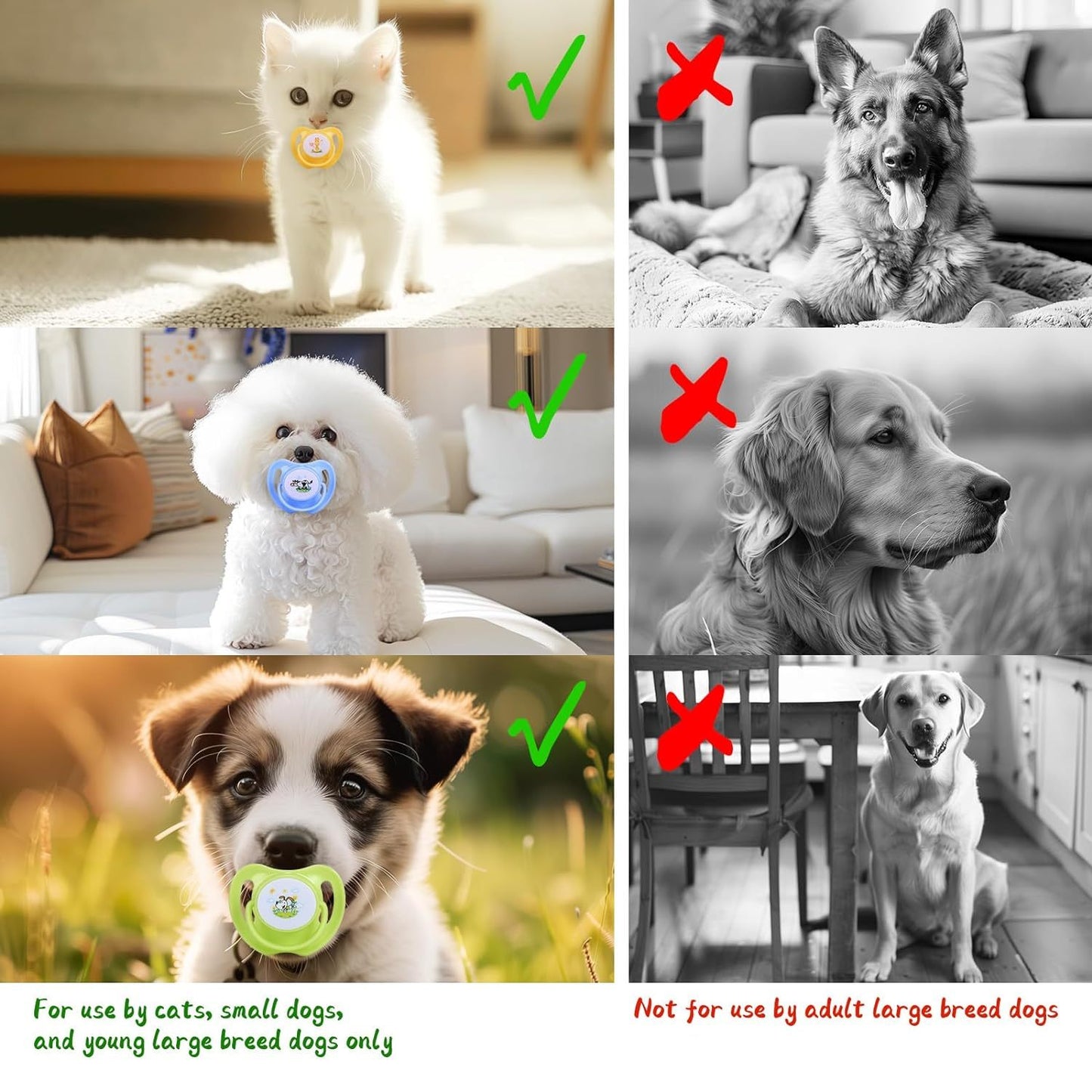 Dog Pacifiers For Small Dogs Kitten Pacifiers Puppy Teething Toys And Cat Chew Toys Essential Pet Supplies Puppy Essentials And Kitten Supplies Purrfect Pawz